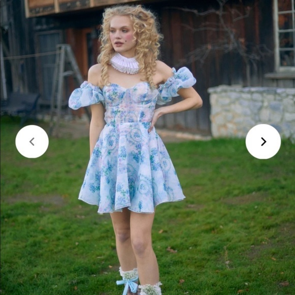 Selkie La Belle Étoile parliament dress